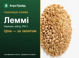 Зображення для оголошення Пшениця озима Леммі — насіння