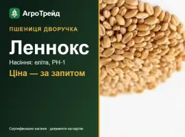 Зображення для оголошення Насіння: пшениця дворучка Леннокс