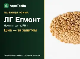 Зображення для оголошення Озима пшениця ЛГ Егмонт — насіння