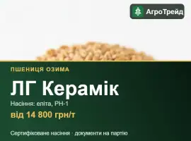 Зображення для оголошення Насіння: пшениця озима ЛГ Керамік