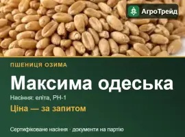 Зображення для оголошення Пшениця Максима одеська для посіву