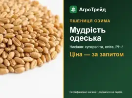 Зображення для оголошення Посівна пшениця Мудрість одеська