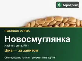 Зображення для оголошення Купити пшеницю Новосмуглянка на посів