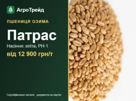 Зображення для оголошення Посівна пшениця Патрас, від 12 900 грн/т