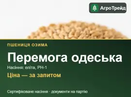 Зображення для оголошення Перемога одеська — озима пшениця, насіння