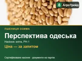 Зображення для оголошення Пшениця Перспектива одеська для посіву