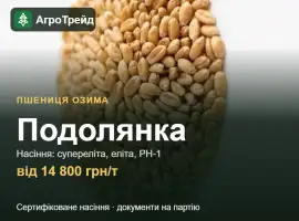Зображення для оголошення Насіння пшениці Подолянка, від 14 800 грн/т