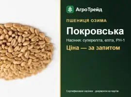 Зображення для оголошення Насіння пшениці Покровська