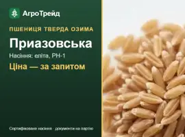 Зображення для оголошення Насіння: пшениця тверда озима Приазовська