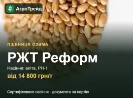 Зображення для оголошення Пшениця РЖТ Реформ для посіву, від 14 800 грн/т