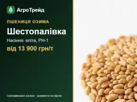 Зображення для оголошення Пшениця озима Шестопалівка — насіння