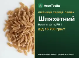 Зображення для оголошення Посівна пшениця Шляхетний, від 16 700 грн/т
