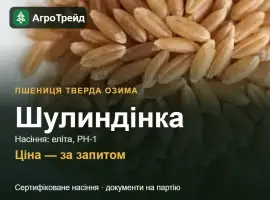 Зображення для оголошення Пшениця тверда озима Шулиндінка — насіння