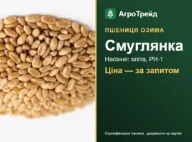Зображення для оголошення Пшениця озима Смуглянка — насіння