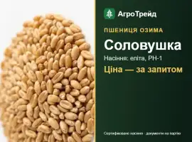 Зображення для оголошення Насіння: пшениця озима Соловушка