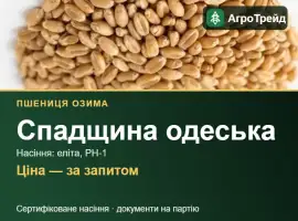 Зображення для оголошення Пшениця озима Спадщина одеська — насіння