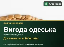 Зображення для оголошення Озима пшениця Вигода одеська — насіння