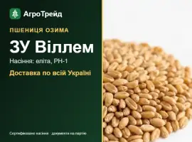 Зображення для оголошення Пшениця ЗУ Віллем для посіву, від 14 800 грн/т