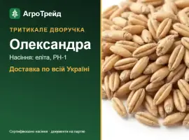 Зображення для оголошення Посівне тритикале Олександра