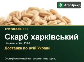 Зображення для оголошення Тритикале Скарб харківський для посіву
