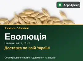 Зображення для оголошення Озимий ячмінь Еволюція — насіння