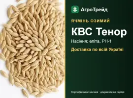 Зображення для оголошення Озимий ячмінь КВС Тенор — насіння