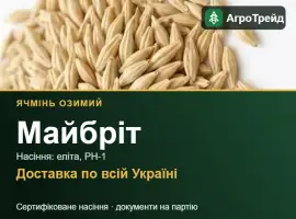 Зображення для оголошення Посівний ячмінь Майбріт
