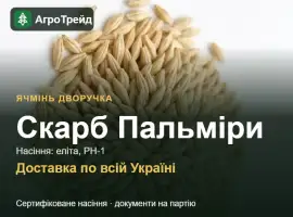 Зображення для оголошення Ячмінь дворучка Скарб Пальміри — насіння