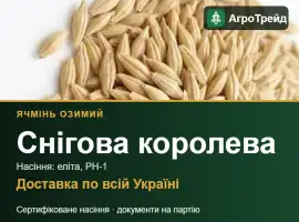 Зображення для оголошення Ячмінь Снігова королева для посіву