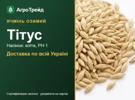 Зображення для оголошення Ячмінь озимий Тітус — насіння