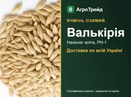 Зображення для оголошення Насіння ячменю Валькірія