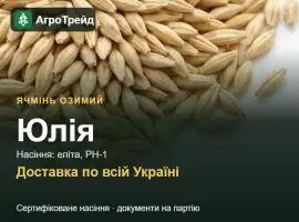 Зображення для оголошення Юлія — озимий ячмінь, насіння