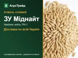 Зображення для оголошення Насіння ячменю ЗУ Міднайт, від 14 800 грн/т