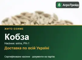 Зображення для оголошення Кобза — озиме жито, насіння