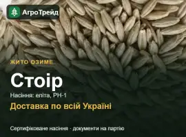 Зображення для оголошення Купити жито Стоір на посів