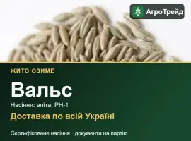 Зображення для оголошення Насіння жита Вальс