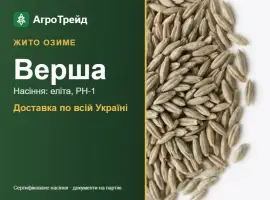 Зображення для оголошення Насіння: жито озиме Верша