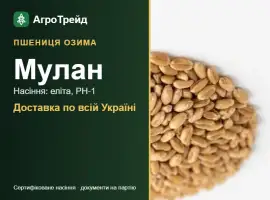Зображення для оголошення Пшениця Мулан для посіву