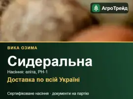 Зображення для оголошення Вика озима (сидеральна) — насіння еліта, РН-1