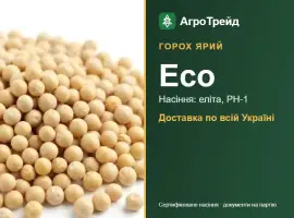 Зображення для оголошення Насіння ярого гороху Есо