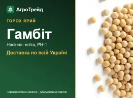 Зображення для оголошення Гамбіт — ярий горох, насіння