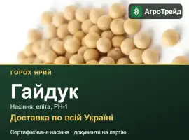 Зображення для оголошення Купити ярий горох Гайдук на посів