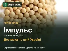 Зображення для оголошення Імпульс — ярий горох, насіння, від 29 700 грн/т