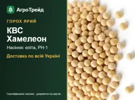 Зображення для оголошення Горох ярий КВС Хамелеон — насіння