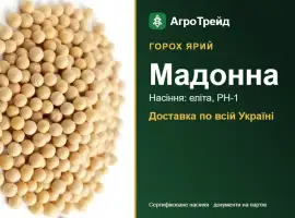Зображення для оголошення Мадонна — ярий горох, насіння, від 24 600 грн/т