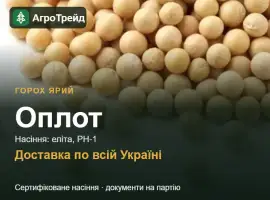 Зображення для оголошення Оплот — ярий горох, насіння