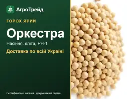 Зображення для оголошення Насіння ярого гороху Оркестра