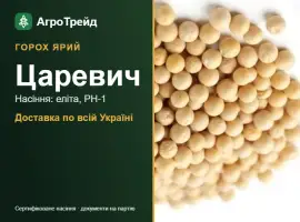 Зображення для оголошення Царевич — ярий горох, насіння