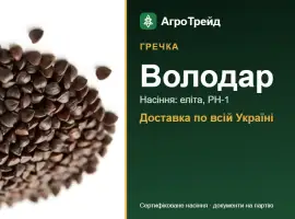 Зображення для оголошення Гречка Володар — насіння