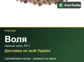 Зображення для оголошення Посівна гречка Воля
